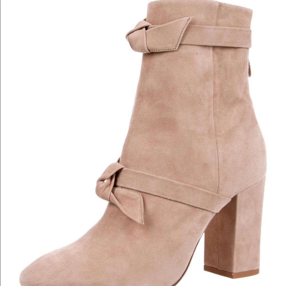 Alexandre Birman Suede Ankle Boots